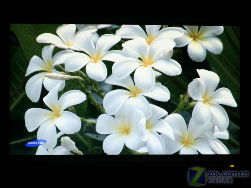 �����֣�Philips��220WS8ͼƬ���� ��27�� -ZOL�йش����ߵ�27��