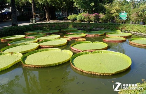 大C游世界  云南丽江 知青园应该怎么玩_数码影