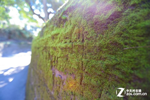 ������Ȫ֮�ã�����6D�����ձ����ݵ� 