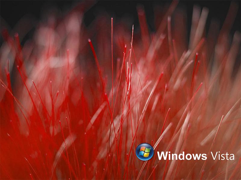 Windows vista ��׼1024X768������ֽͼƬ����,ͼ2-ZOL�йش����ߵ�2��