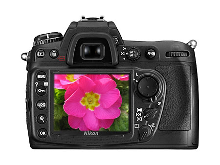 �῵��Nikon��D300ͼƬ���� ��5�� -ZOL�йش����ߵ�5��