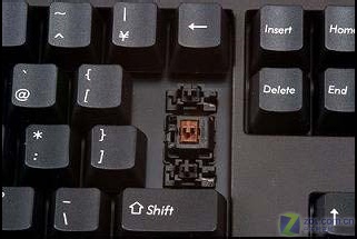 ���Ṥ�� �¿��������������ձ�����ͼƬ����,ͼ3-ZOL�йش����ߵ�3��