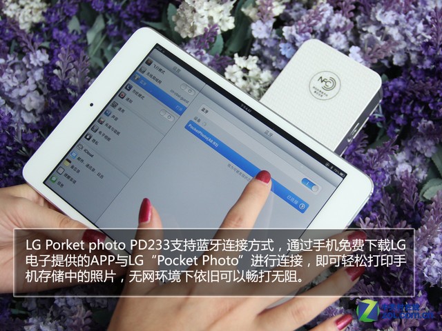 LG PD233�ڴ���ӡ�� ֻҫ�㲻һYoung