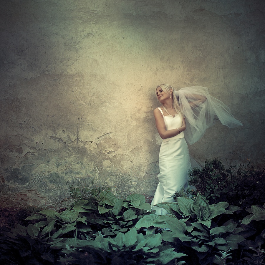 资深摄影家、第八届中国摄影金像奖获得者汤德胜逝世