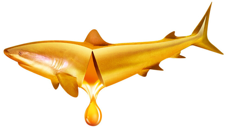 【高清图】鱼油=鱼肝油=D3? 完全不在一个频