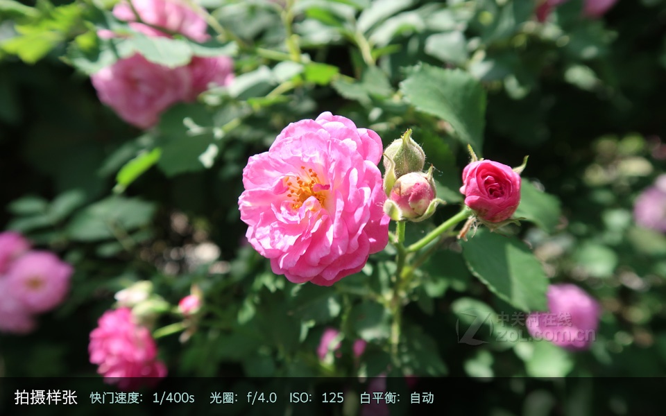 【高清图】佳能G7 X Mark II数码相机评测图解