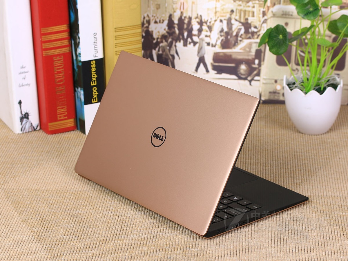 【高清图】戴尔(dell)XPS 13 微边框 玫瑰金(X