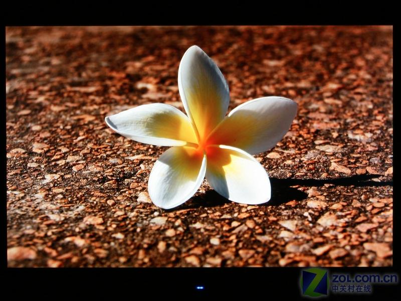 ���ɣ�ViewSonic��VX2240wͼƬ���� ��39�� -ZOL�йش����ߵ�39��