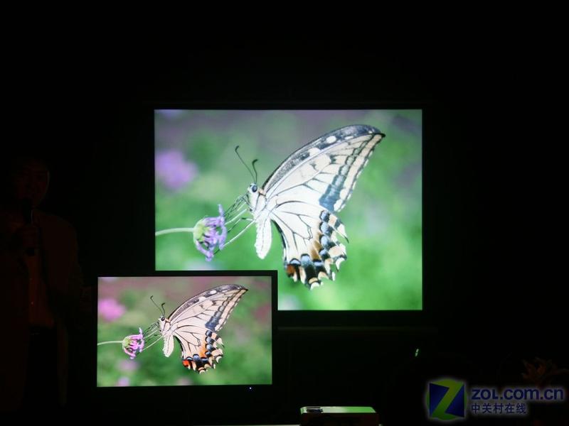 ��ν��Լ۱����?NECͶӰ��Ʒ����ͼƬ����,ͼ28-ZOL�йش����ߵ�28��