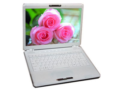 ��֥��Toshiba��M803ͼƬ���� ��4�� -ZOL�йش����ߵ�4��