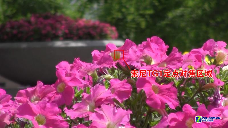 240��ȫ����DV �ѽ��������TG1ȫ���ײ�ͼƬ����,ͼ44-ZOL�йش����ߵ�44��
