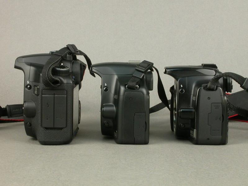 ���ܣ�Canon��450DͼƬ���� ��158�� -ZOL�йش����ߵ�158��