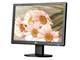 LG W1934S �� LG W1942SP