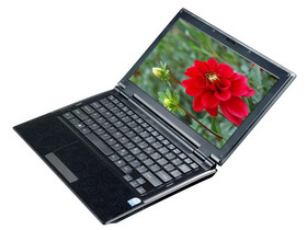 ���� SALO S11A-B116