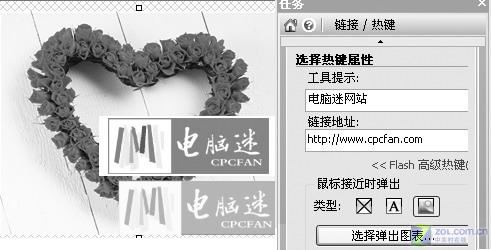 ��SnagIt 8.0������������ʽFlashͼƬ����,ͼ1-ZOL�йش����ߵ�1��