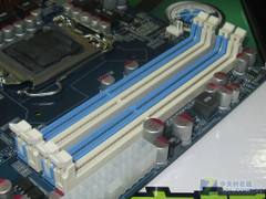 TP55ȫ̰ 