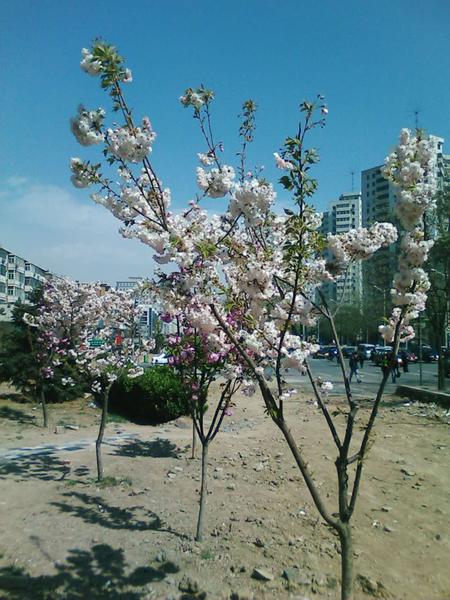 �򻬱������� LG�ɿ���KG90����