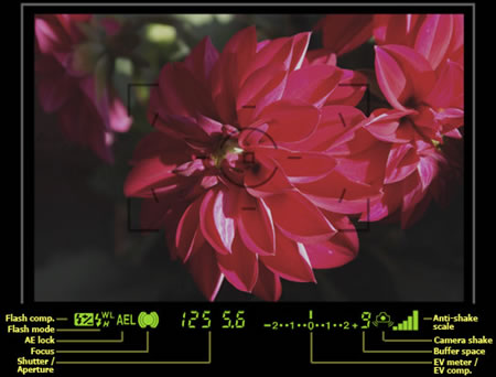 �������� �����100���뵥���������ͼƬ����,ͼ8-ZOL�йش����ߵ�8��