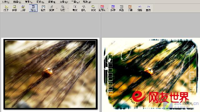 ��һ���ĸо� ��ͨ��ƬҲ��LOMO���ͼƬ����,ͼ1-ZOL�йش����ߵ�1��