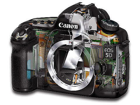 ���ܣ�Canon��5DͼƬ���� ��10�� -ZOL�йش����ߵ�10��