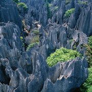 �¿�GPS�������ж�����������;�����ʤ���� 