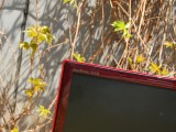ӣҺ+LED22Һ1299Ԫ 