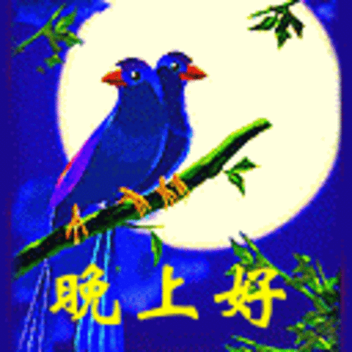 上线问候动态qq表情 原创