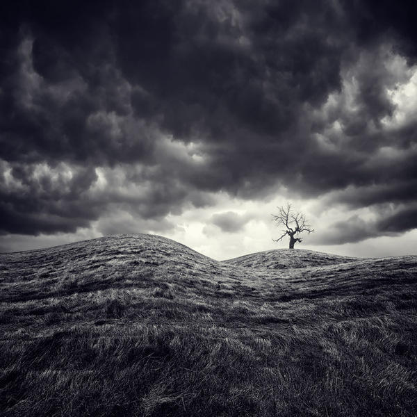 穿梭在梦境天堂 西班牙摄影师唯美作品-第20页