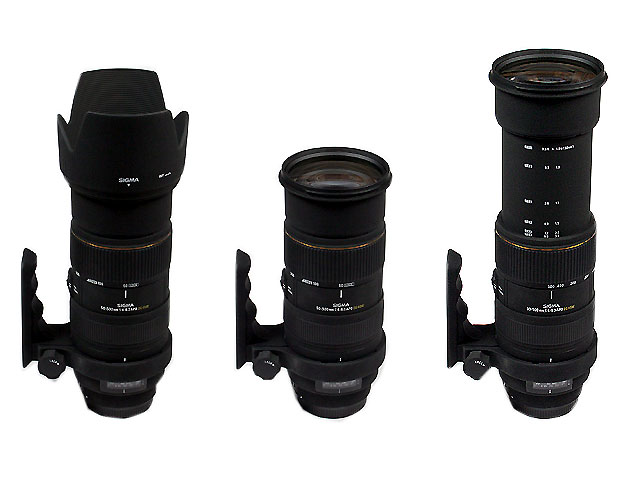 ������Sigma��APO 50-500mm f/4-6.3 EX DG HSMͼƬ���� ��6�� -ZOL�йش����ߵ�6��