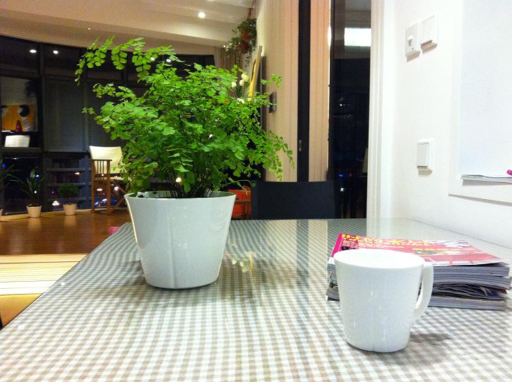 累死累活9个月 晒江边无风格舒适新家-第15页