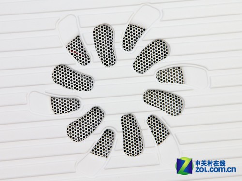 赛鲸