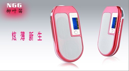 不谢的“蓝色妖姬”,相守一生的承诺