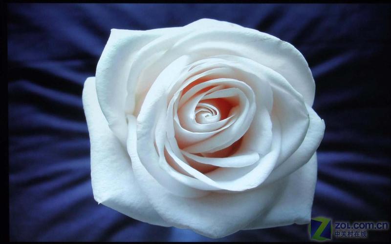 19Ӣ�����1999Ԫ ���� VG1921wm����ͼƬ����,ͼ2-ZOL�йش����ߵ�2��