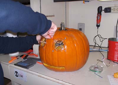 ������������ ��ǿ�Ϲϻ������ͼƬ��ͼƬ����,ͼ1-ZOL�йش����ߵ�1��