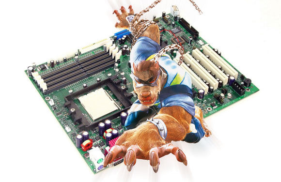 �ܷ񺳶�һ�߳��� XFXͦ�������г���ͼƬ����,ͼ1-ZOL�йش����ߵ�1��