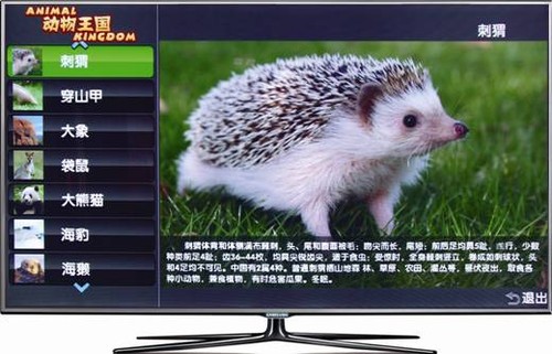 龙宝宝驾到,电视APP搞定早期教育_三星液晶电