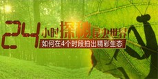 �����4��ʱ���ĳ�������̬