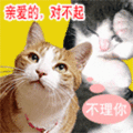 道歉qq表情