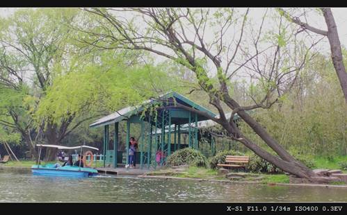 Fujifilm FinePix HS33EXRӰдֿɵ 