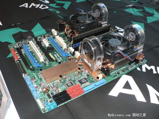 �����ж�ǿ AMD