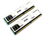 ���256MB DDR500(�׽���)