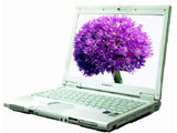 ��������200D1730740W3256060BXW2���ף�