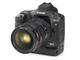 ���� EOS 1D Mark II