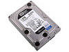 WD 1TB 7200ת 32MB(����WD1001FALS)