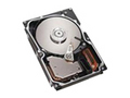 IBM Ӳ��/300GB(40K1041)