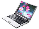 �������� F21-MT(WINNIE)