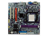 ��ӢAMD690GM-M2