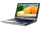 �������� F41AT5250-P