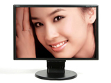 NEC 225WXM