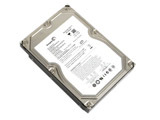 希捷500GB 7200.11 32M(串口/盒)